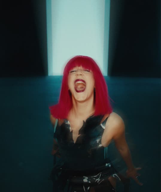 NOVELISTS artist profile image