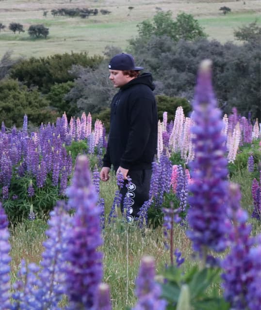 Notation artist profile image