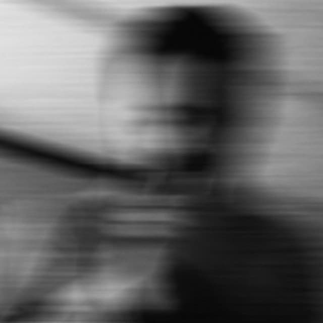 Turtle artist profile image