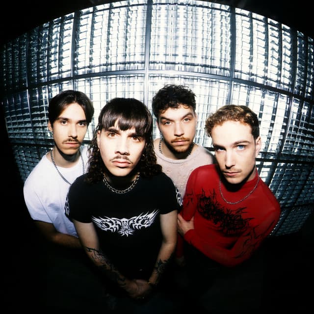 AVRALIZE artist profile