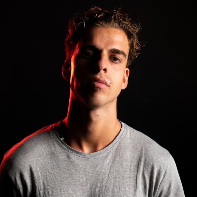 AVÖ artist profile image