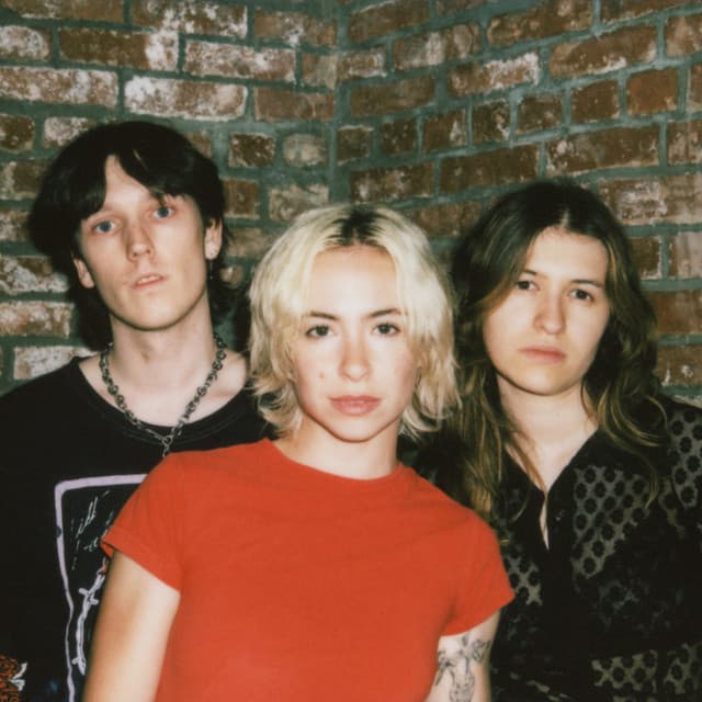 Melt artist profile image
