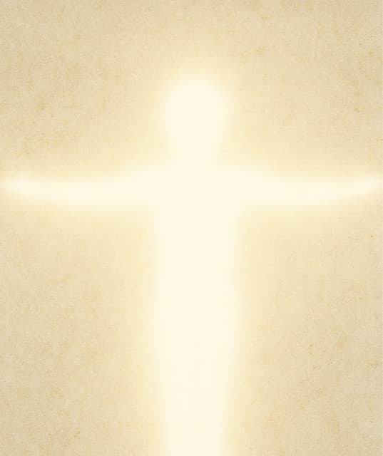 Austin Skinner artist profile image