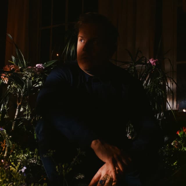 DOLF artist profile image