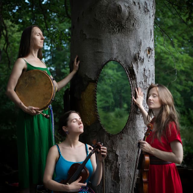 Sutari artist profile image