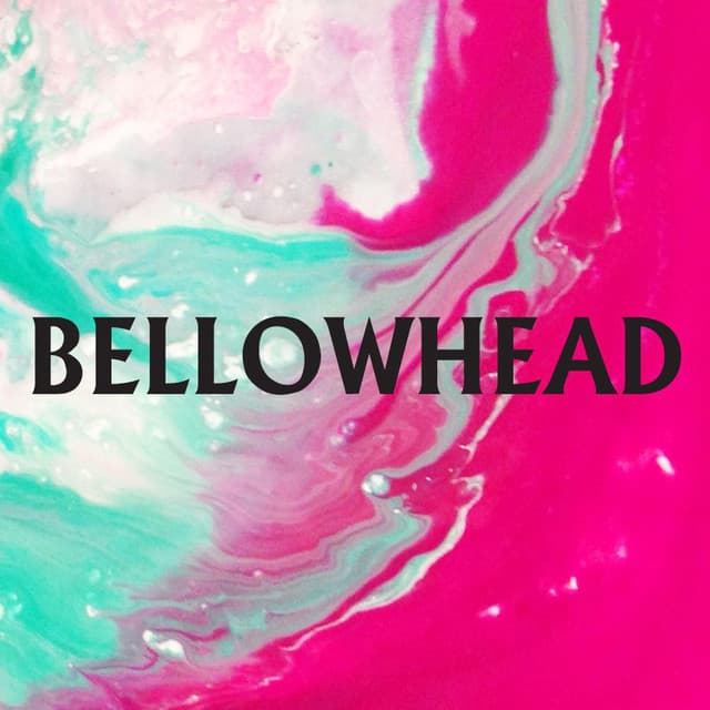 Bellowhead artist profile image
