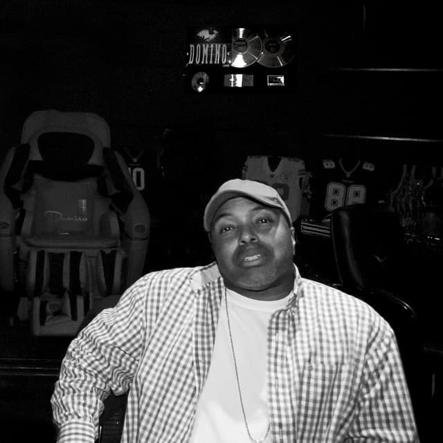 Domino artist profile image