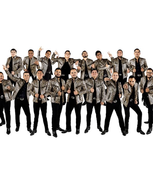 Banda Renovacion's artist profile image