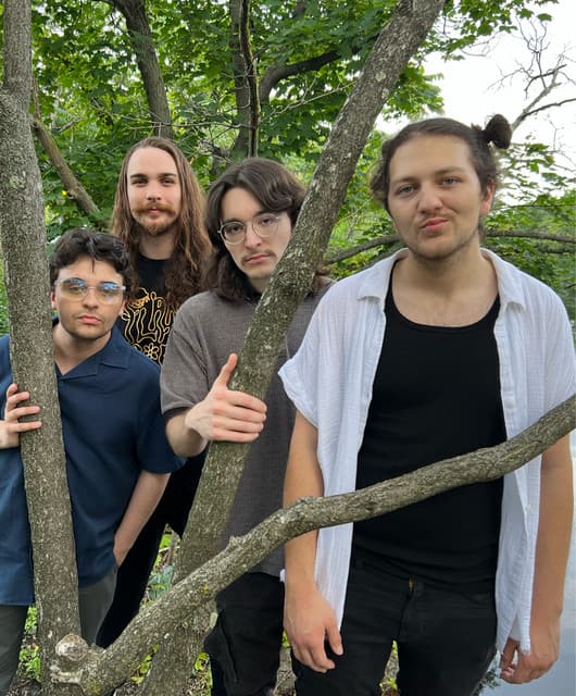 Mallcops's artist profile image