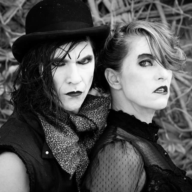 The Dresden Dolls artist profile