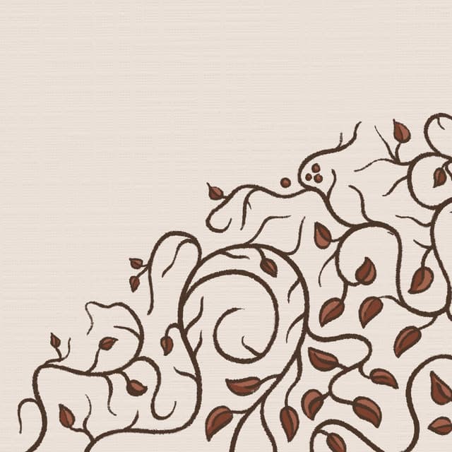 the olllam's artist profile image