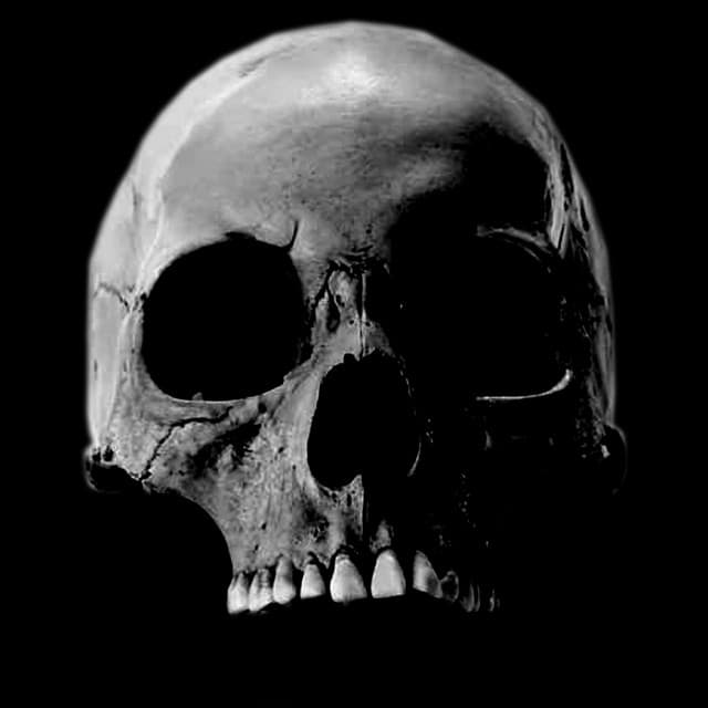 Callisto artist profile image