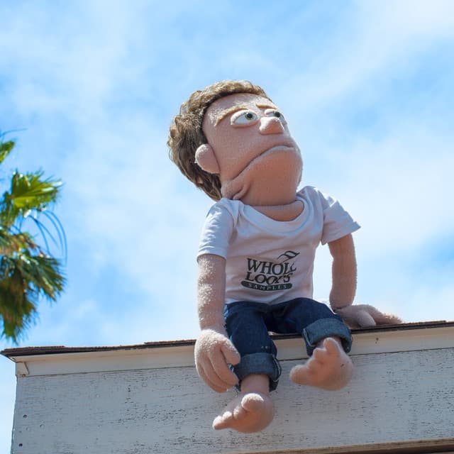 Reid Stefan artist profile image