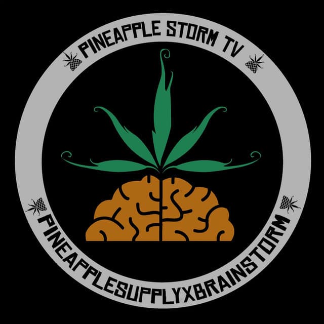 Pineapple StormTv profile