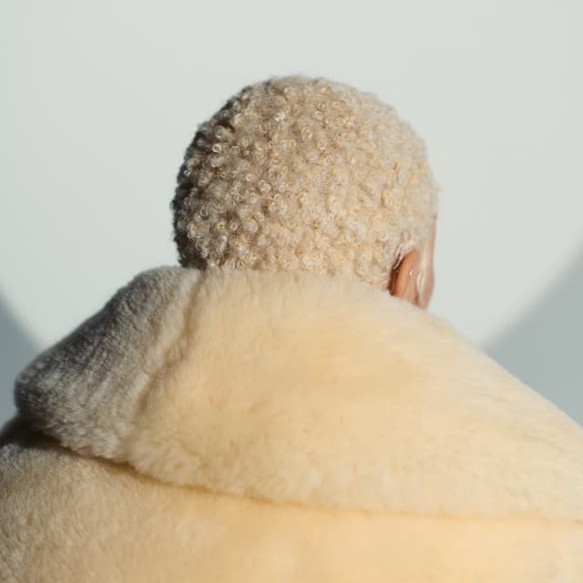 Doja Cat's artist profile image