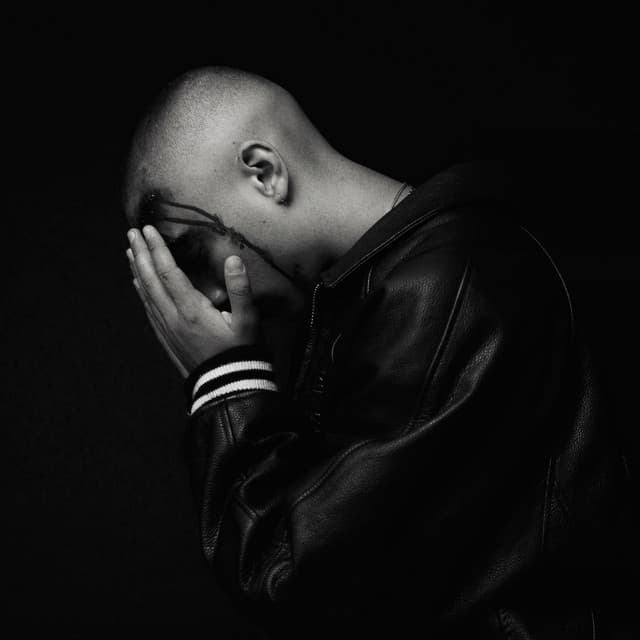 Feux artist profile image