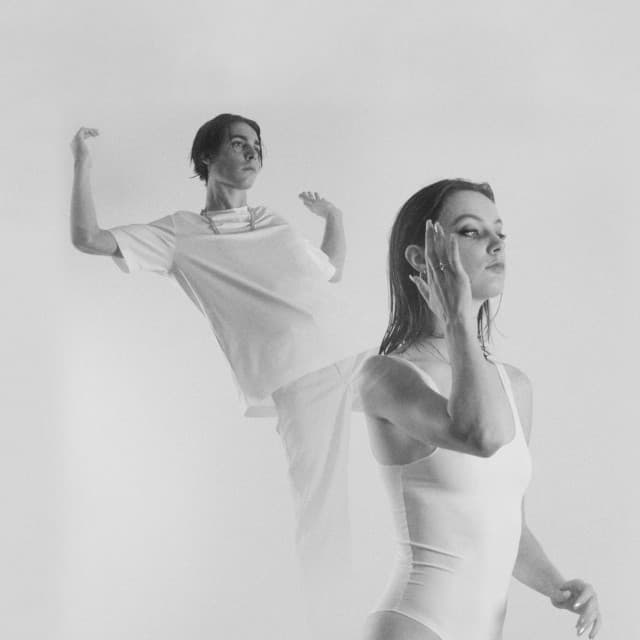 The Pirouettes artist profile image