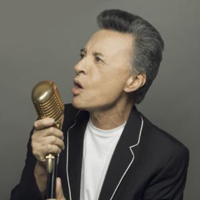 Palito Ortega artist profile image