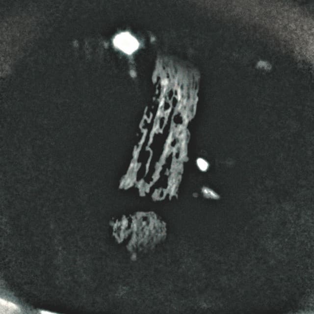 Crack Cloud's artist profile image