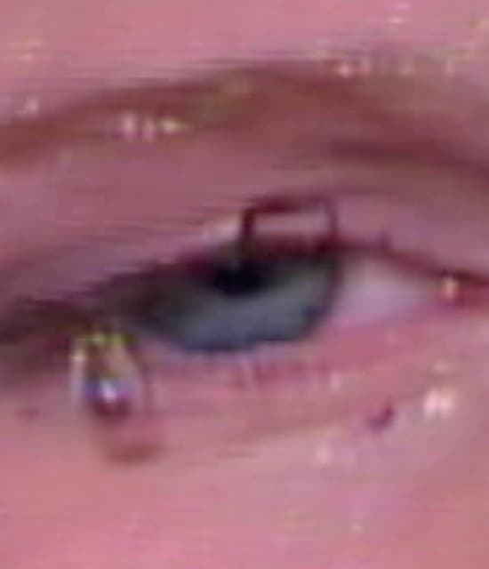 Lilyisthatyou artist profile image