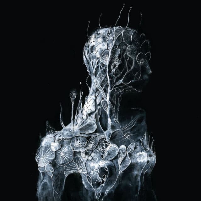 Soen's artist profile image