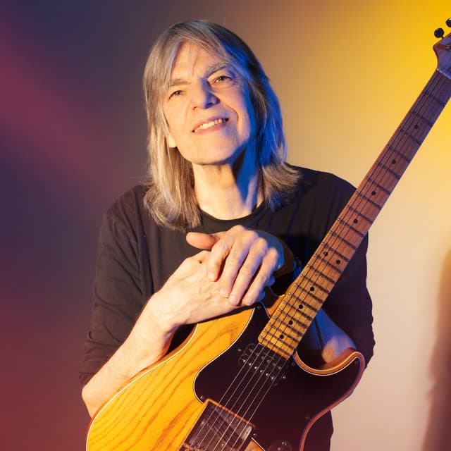 Mike Stern artist profile image