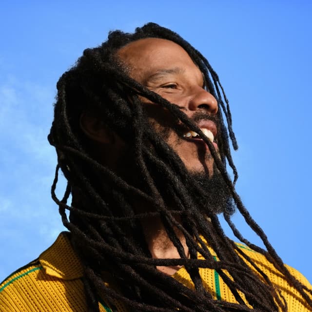 Ziggy Marley artist profile image