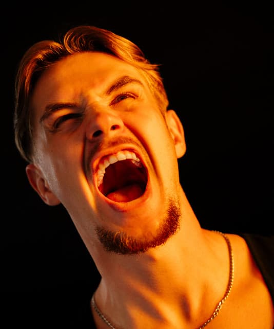 USH artist profile image