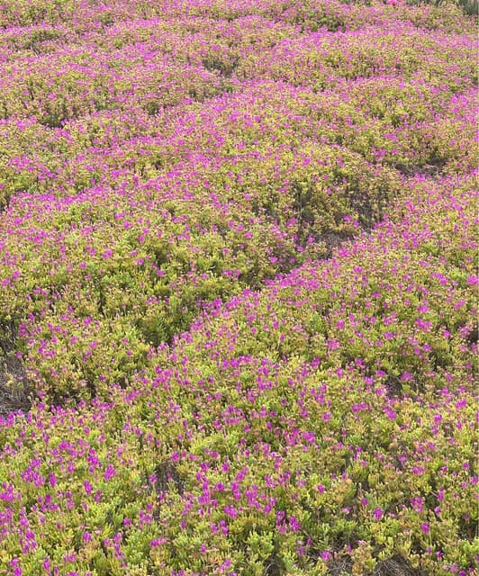 Cashmere Cat artist profile image