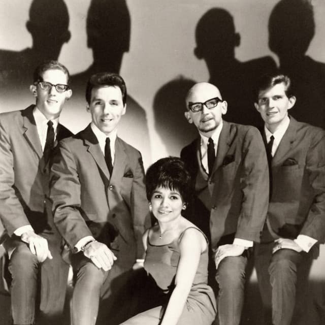 The Skyliners artist profile image