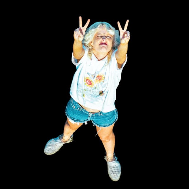 Amyl and The Sniffers's artist profile image