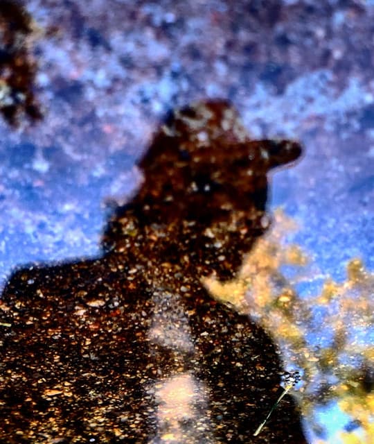 Joe's Truck Stop artist profile image