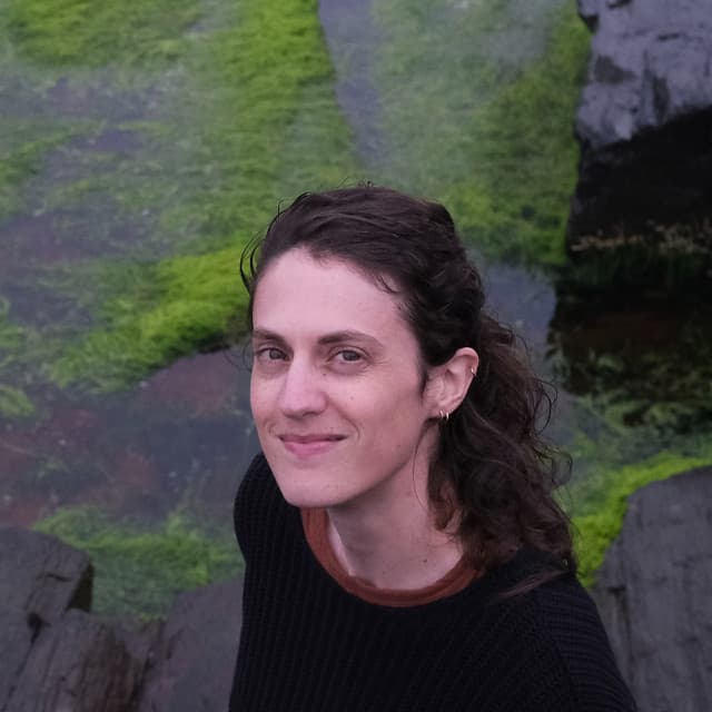 Celia Hollander's artist profile image
