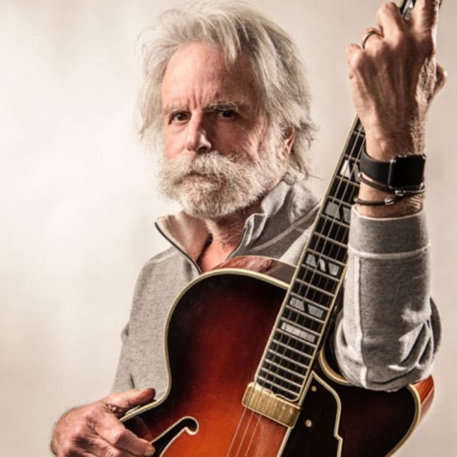 Bob Weir artist profile image