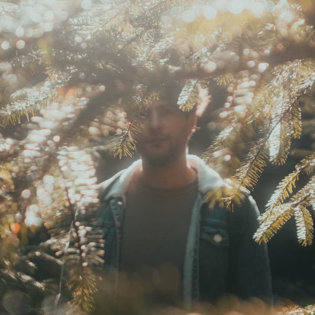 Faodail artist profile image