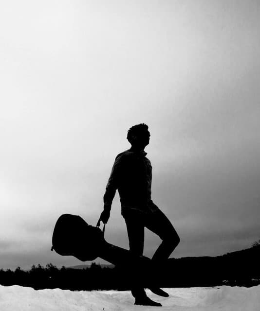 Birds are better artist profile image