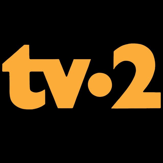 TV-2 artist profile image