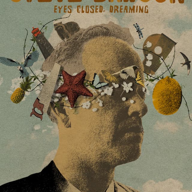 Steve Dawson's artist profile image