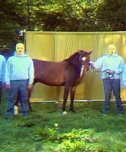 Four Year Strong's artist profile image