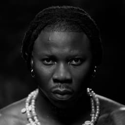 Stonebwoy's artist profile image