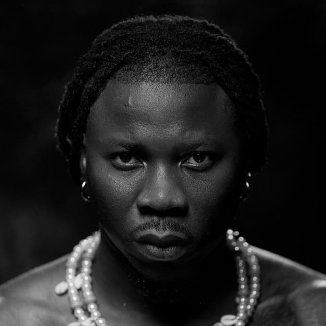 Stonebwoy artist profile