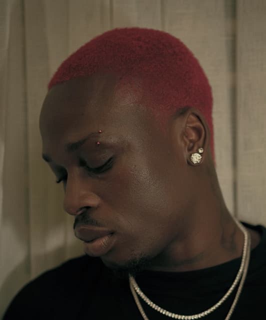 Fireboy DML's artist profile image