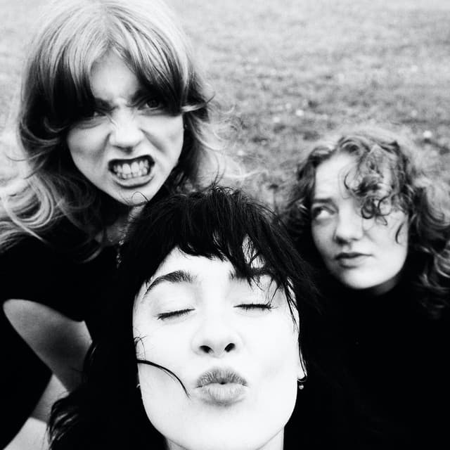 Folk Bitch Trio's artist profile image