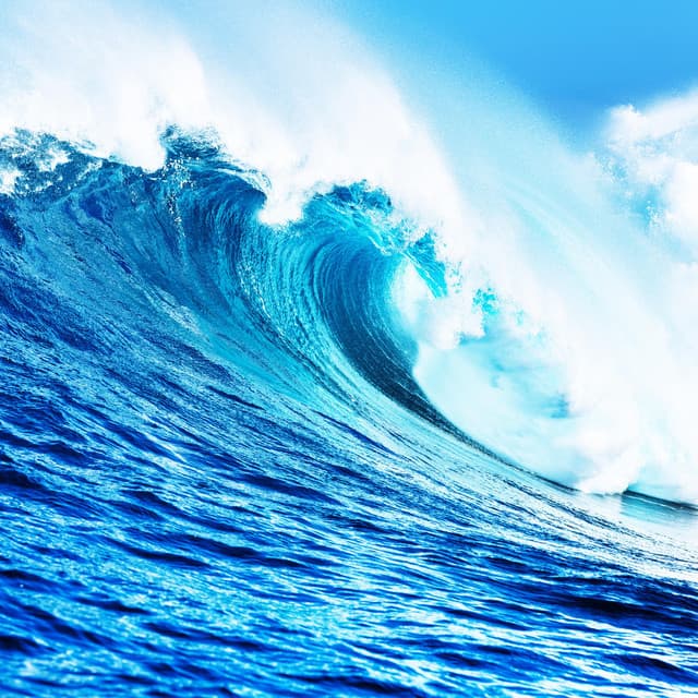 Ocean Sounds artist profile image