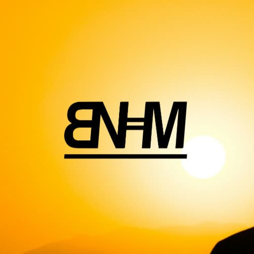 BNHM artist profile image