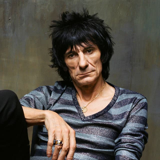Ronnie Wood artist profile image