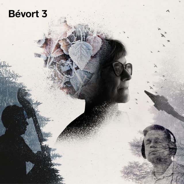 Bévort 3 artist profile image