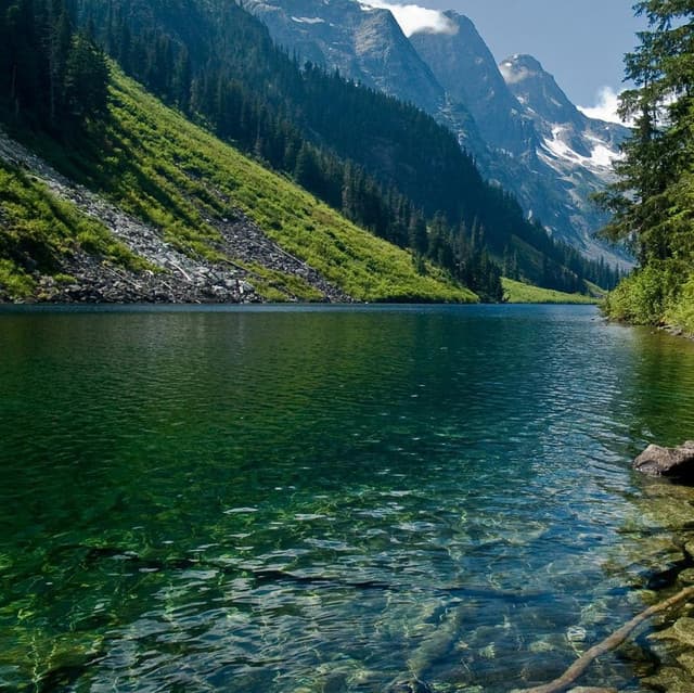 Nature Sounds Nature Music artist profile image