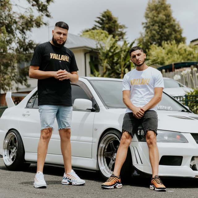 Brothers artist profile image