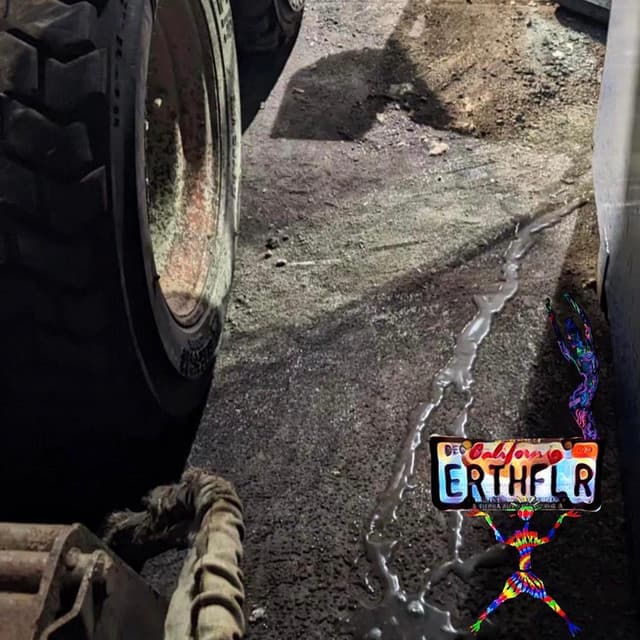 Earth Flower artist profile image